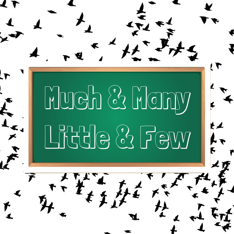 What's the Difference Between Much, Many, Little, and A Lot? - Virtual  Writing Tutor Blog