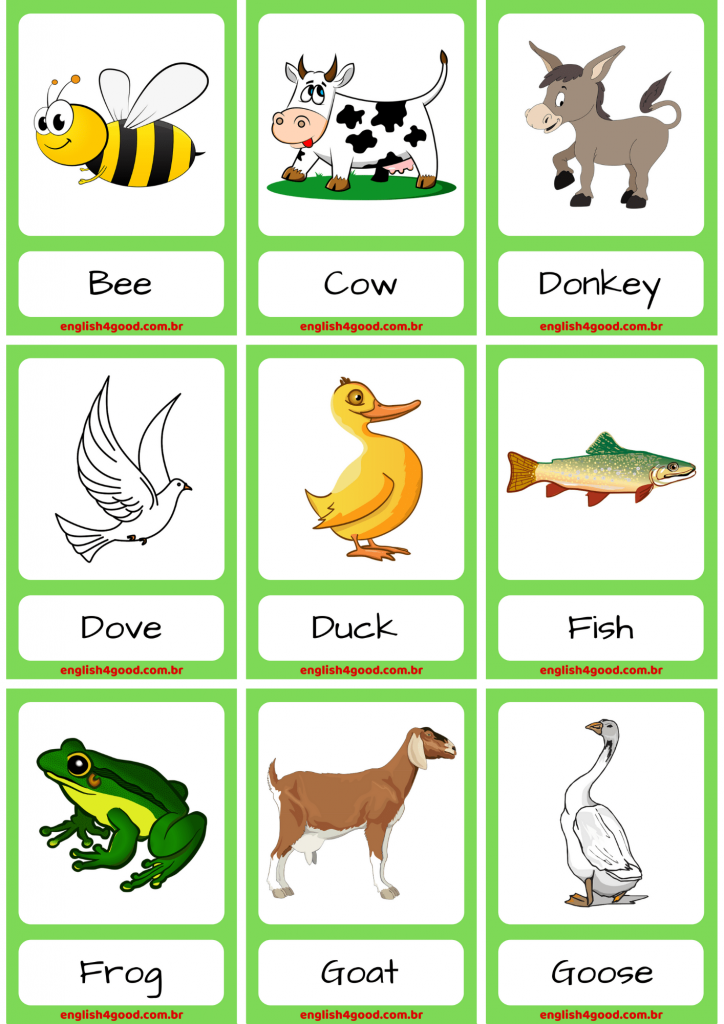 Farm Animals English4Good Vocabulary practice