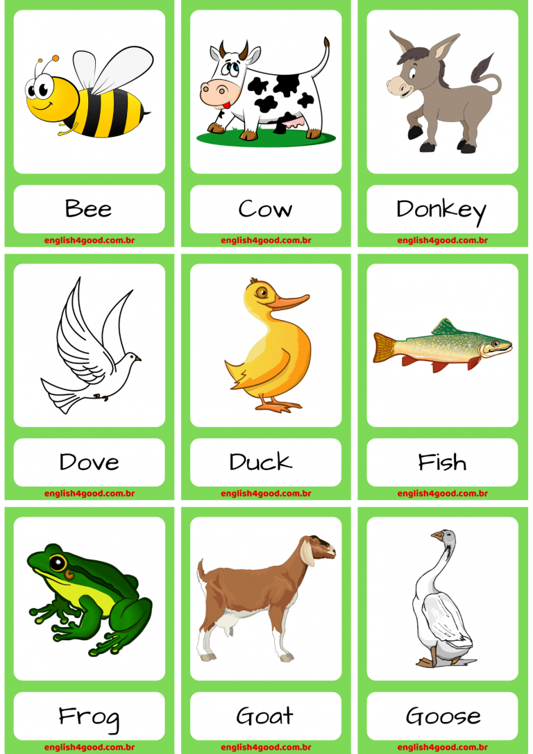 Farm Animals Flashcards Download