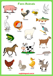 Farm Animals Flashcards Download