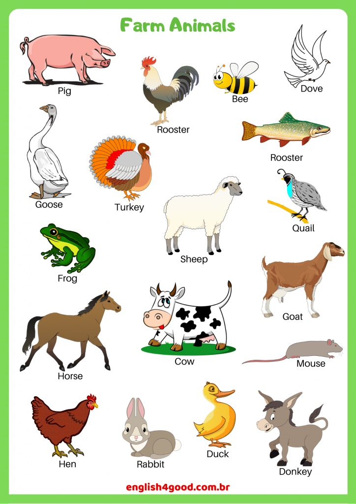farm animals vocabulary practice