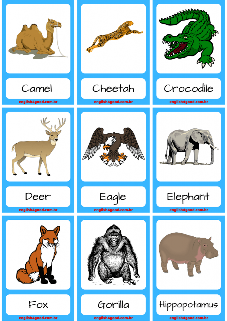 Карта животных английский. Flashcards животные. Animals for Kids карточки. Animals Vocabulary карточки. Farm animals карточки.