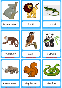 Wild Animals Flashcards - English4Good - Vocabulary Time