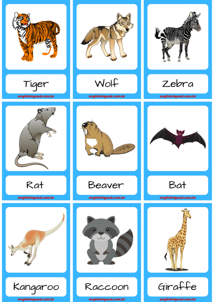 Wild Animals Flashcards - English4Good - Vocabulary Time