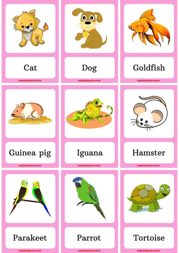 Pets Flashcards - English4Good - Vocabulary Practice