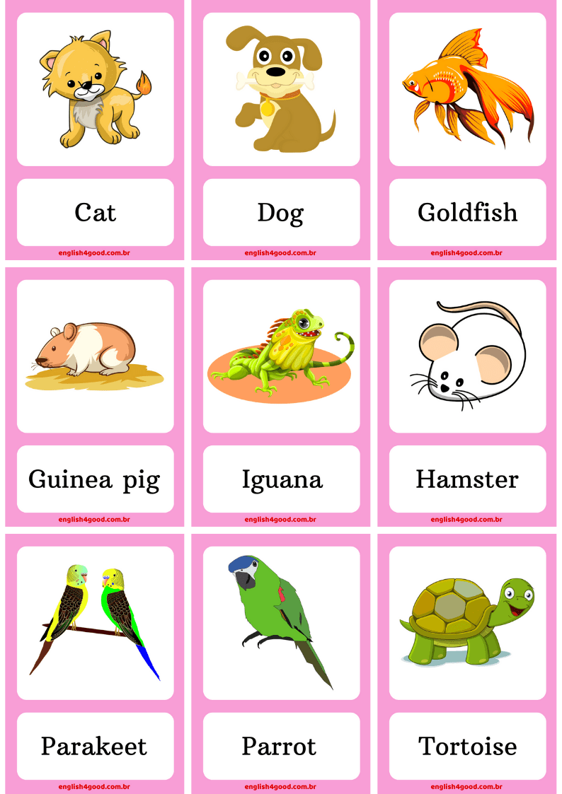 Английское слово pet. Карточки Pets. Animals for Kids карточки. Pets на английском. Карточки Pets на английском.