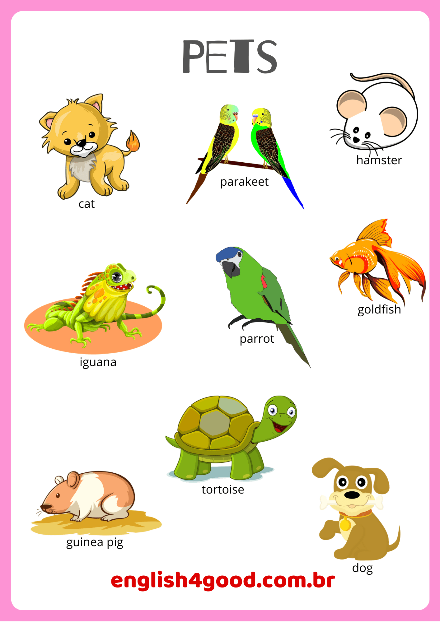 Pets Flashcards English4Good Vocabulary Practice