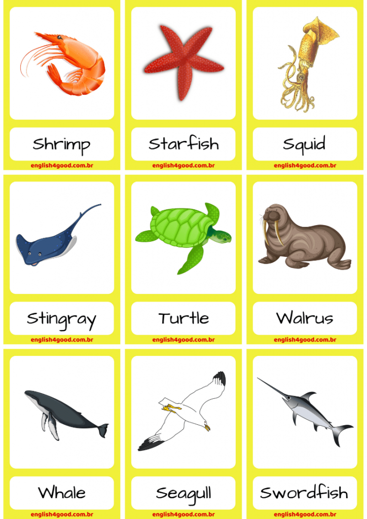 Ocean Animals Flashcards Free Printable