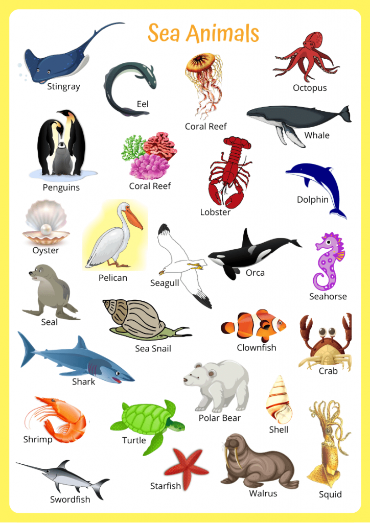 Sea Animals Flashcards - English4Good - Vocabulary practice