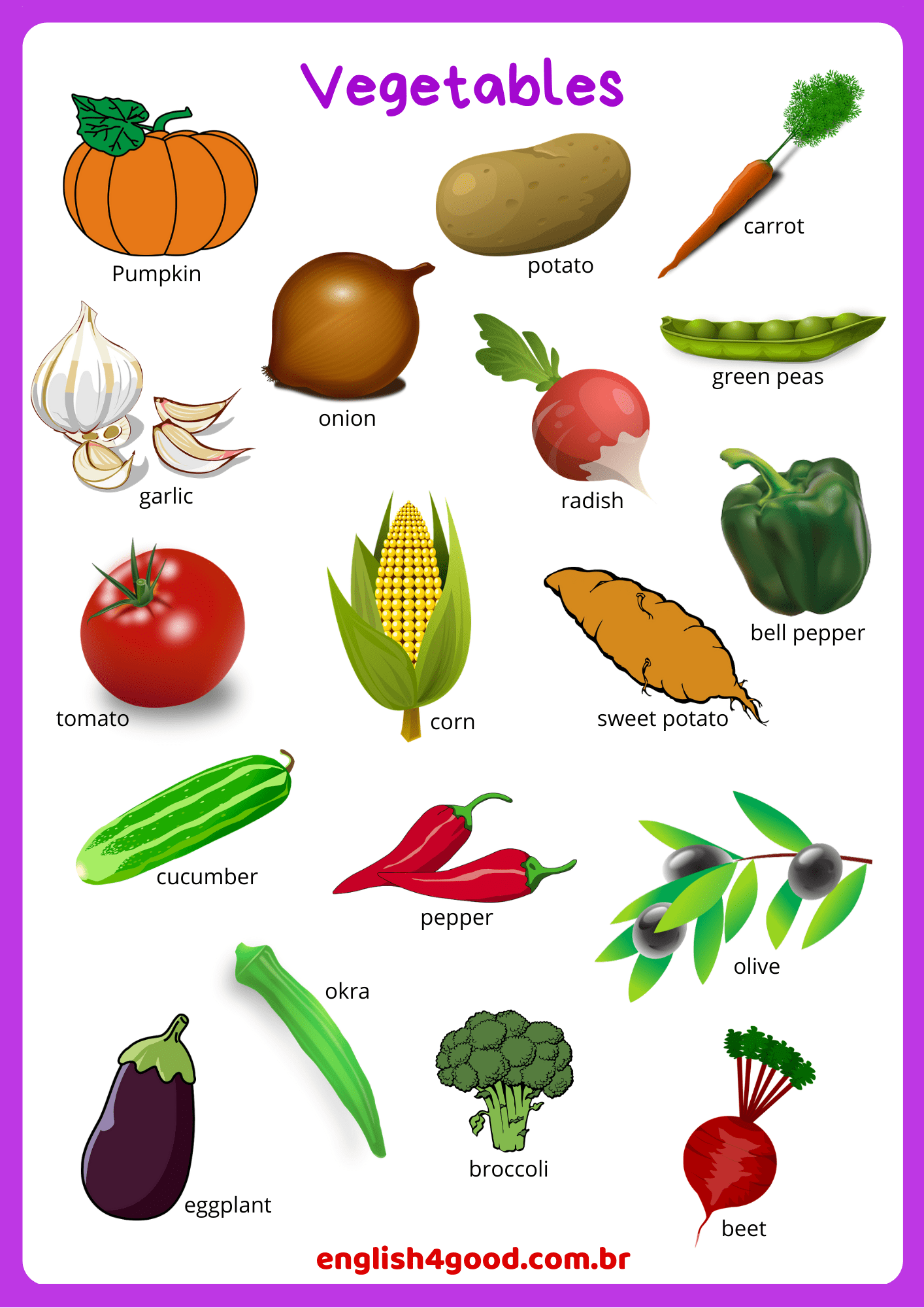 Vegetable Flashcards English4Good Vocabulary Practice